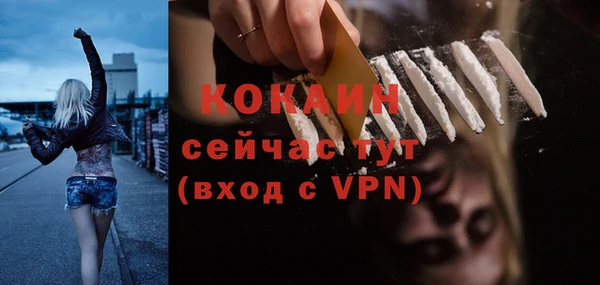 дживик Абаза
