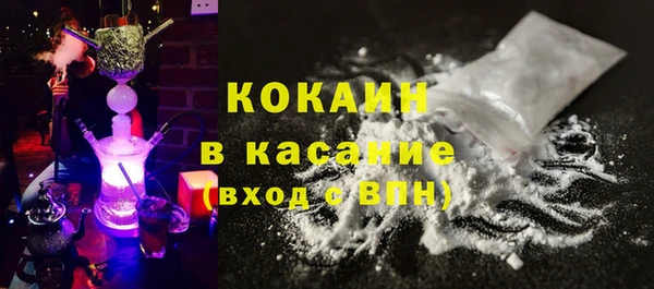 PSILOCYBIN Михайлов
