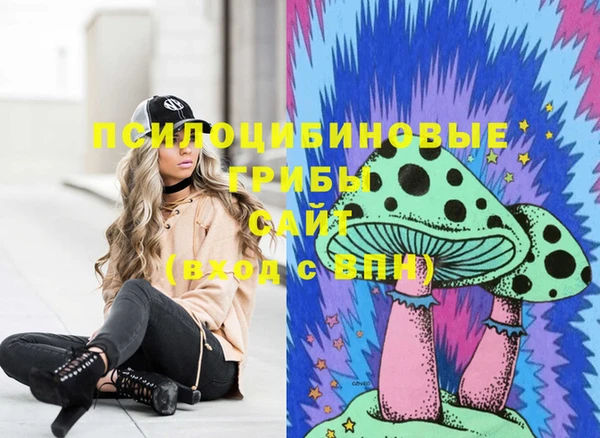 мдпв Абинск