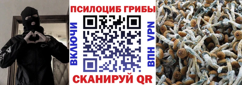 что такое наркотик  Хасавюрт  Галлюциногенные грибы ЛСД 