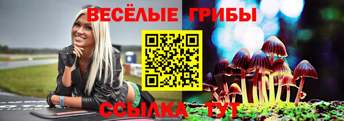 Псилоцибиновые грибы ЛСД  купить наркоту  Хасавюрт  Вход с VPN  Галлюциногенные грибы прущие грибы 