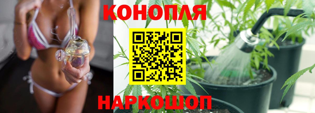 Бошки марихуана планчик  Марихуана Bruce Banner  Хасавюрт  Шишки марихуана семена  МАРИХУАНА Ganja  Вход с VPN 